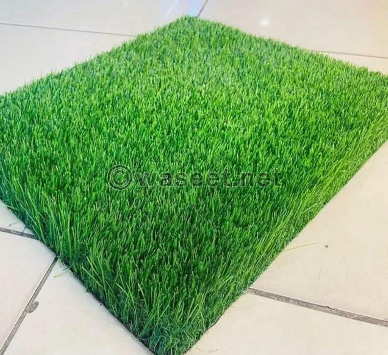 New artificial grass for the garden 0