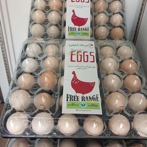 Organic natural local eggs 
