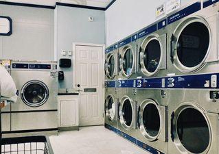 I am looking for a laundry for rent 