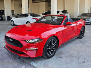 2019 Ford Mustang EcoBoost for sale 