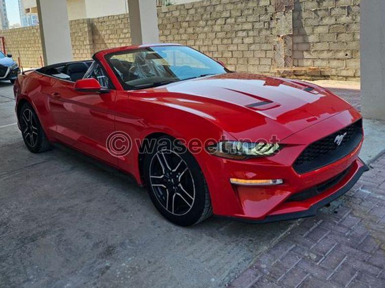 2019 Ford Mustang EcoBoost for sale  1