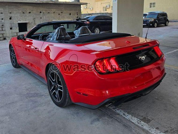 2019 Ford Mustang EcoBoost for sale  2
