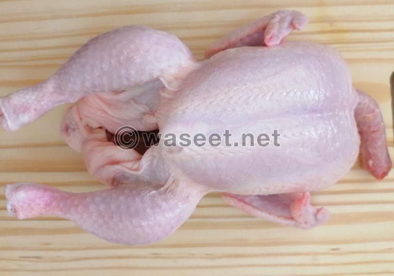 fresh chicken for sale 2