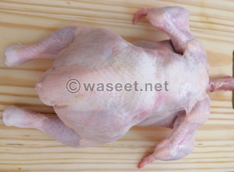 fresh chicken for sale 6