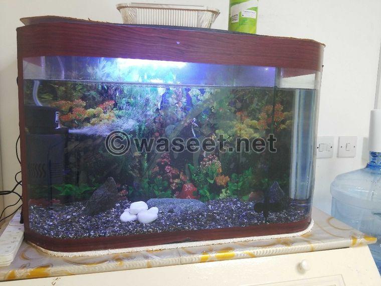 For sale fish tank 0