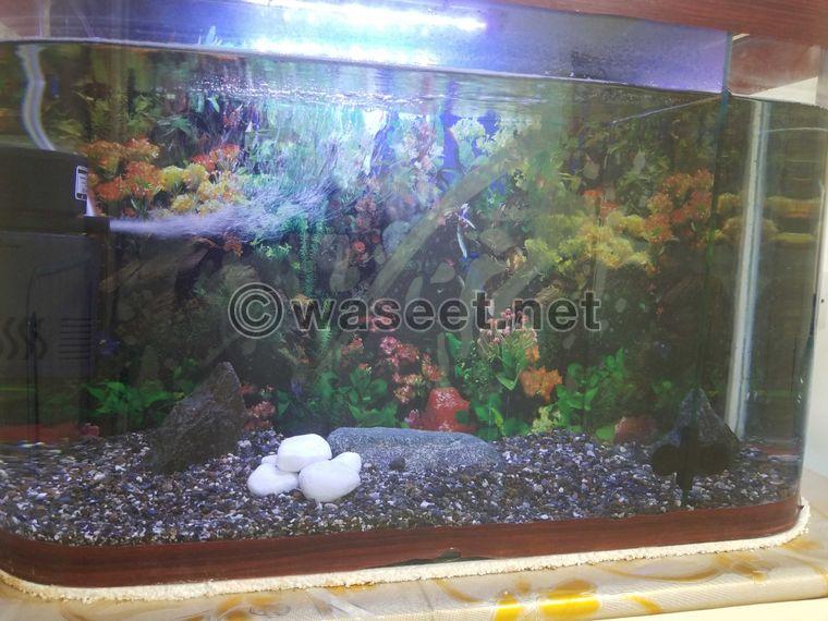 For sale fish tank 2