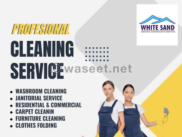 The best cleaning services in town 0