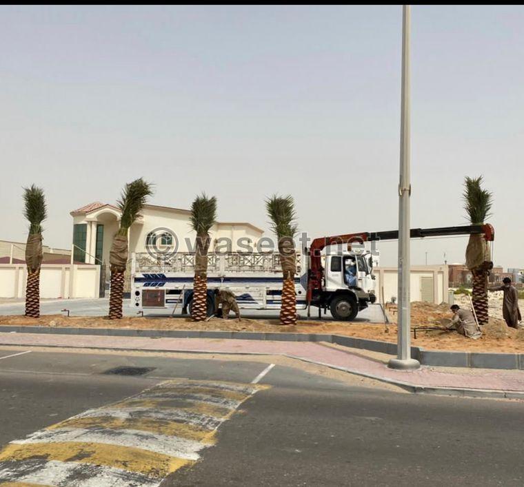 Al Nakheel for sale with delivery and installation service 2