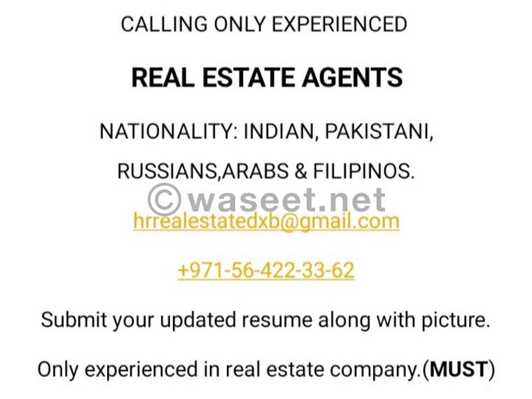 Urgent opening of experienced real estate agents in Dubai  0