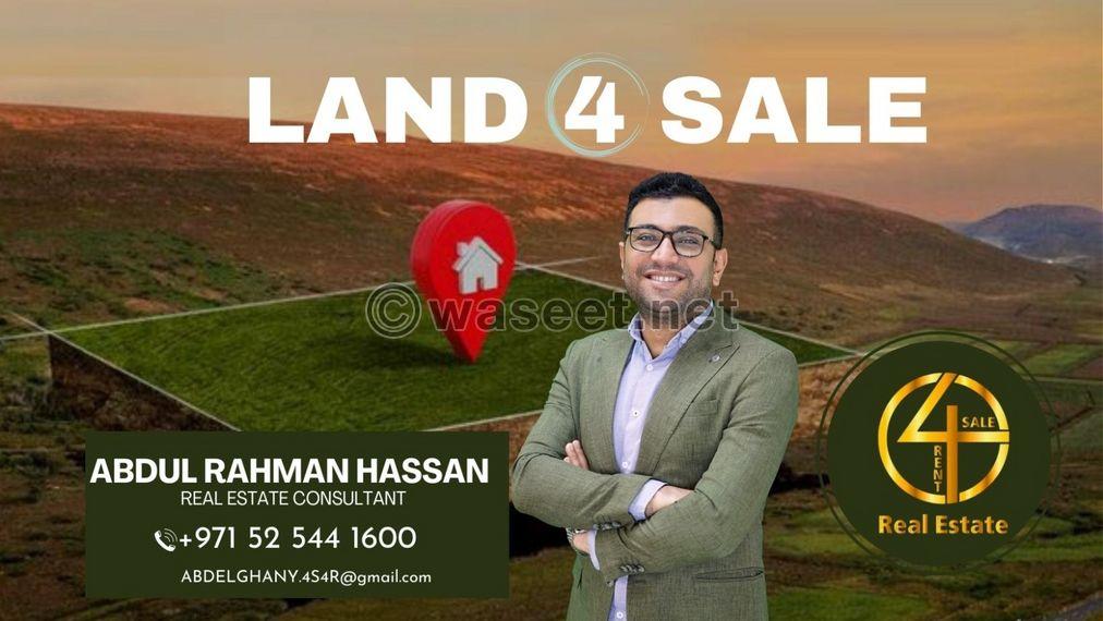 Land for sale on Al Mina Street  0