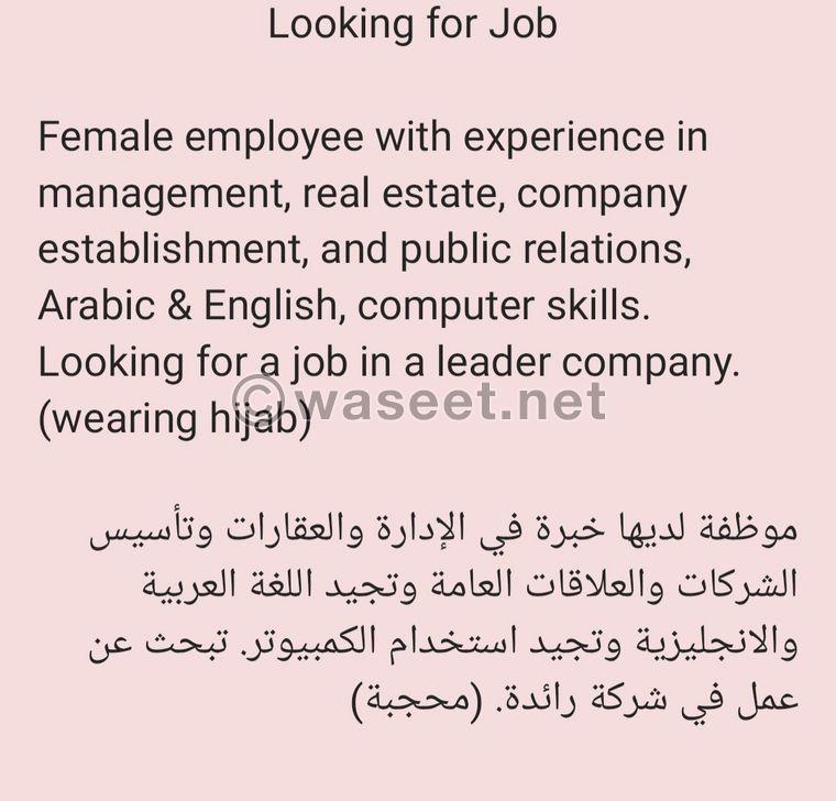Executive secretary looking for job  0