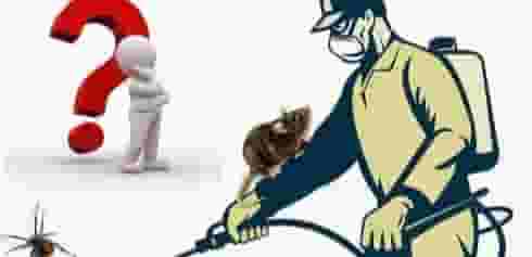 Wet Hills Pest Control and Cleaning Wet Hills Pest Control and Cleaning