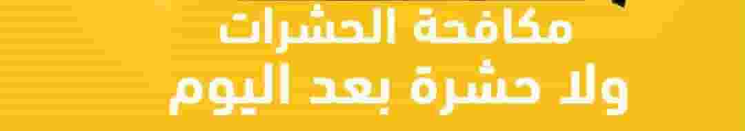 Pest control company in Dubai Pest control company in Dubai
