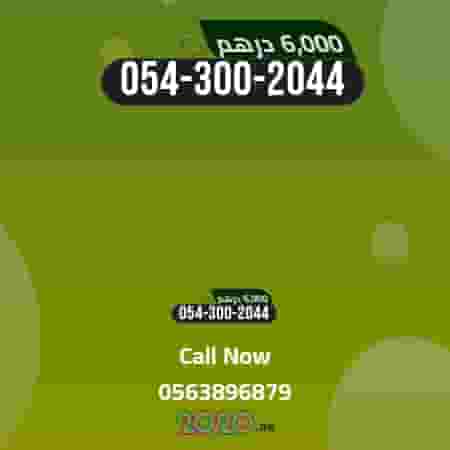 Special paid number Special paid number