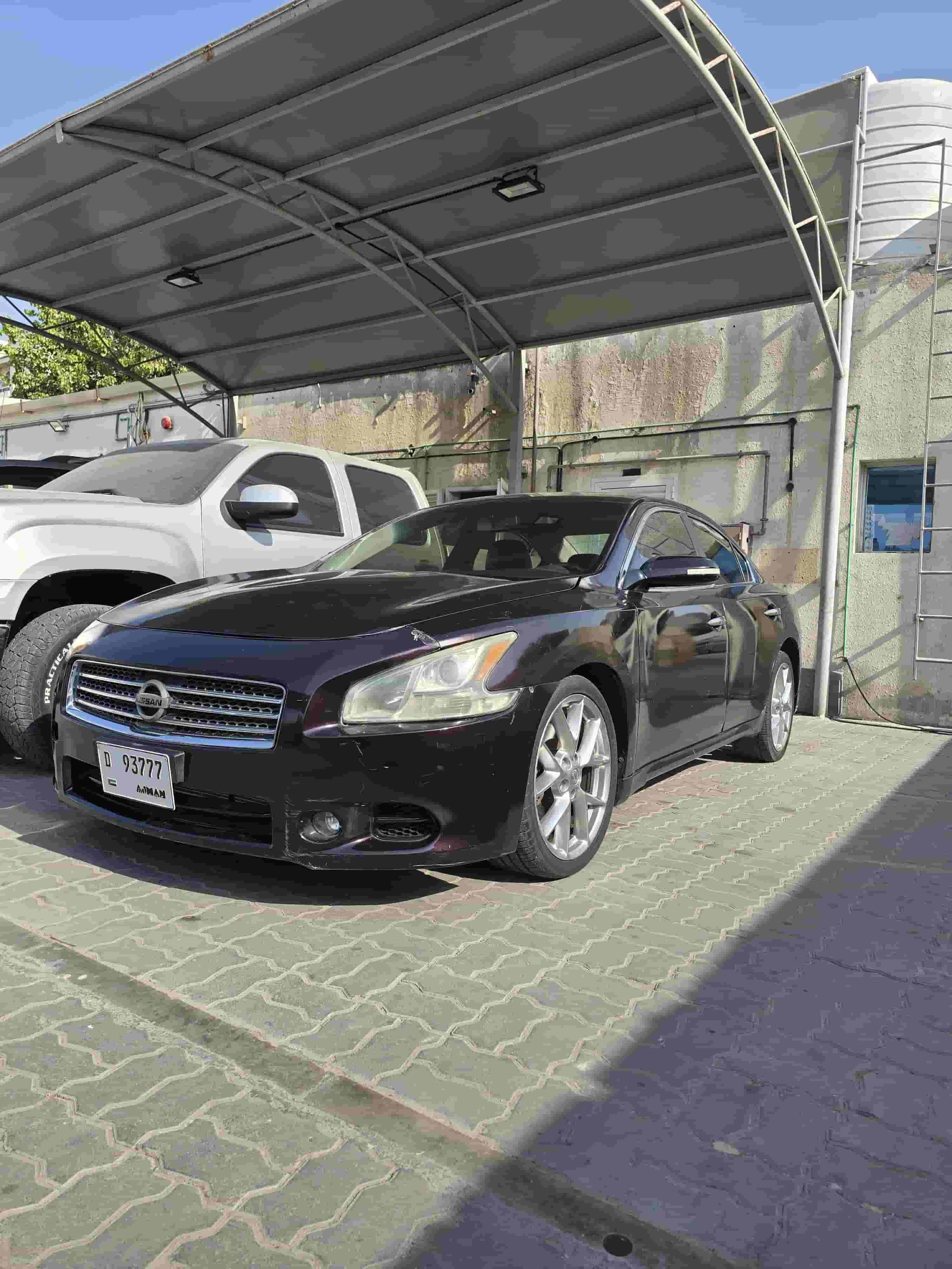 نيسان ماكسيما 2011 نيسان ماكسيما 2011