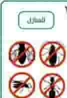 Pest control company in Ajman Pest control company in Ajman