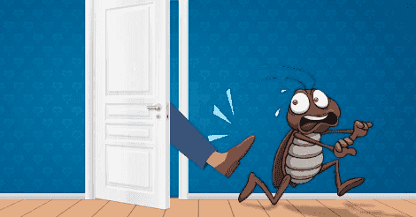 pest control pest control