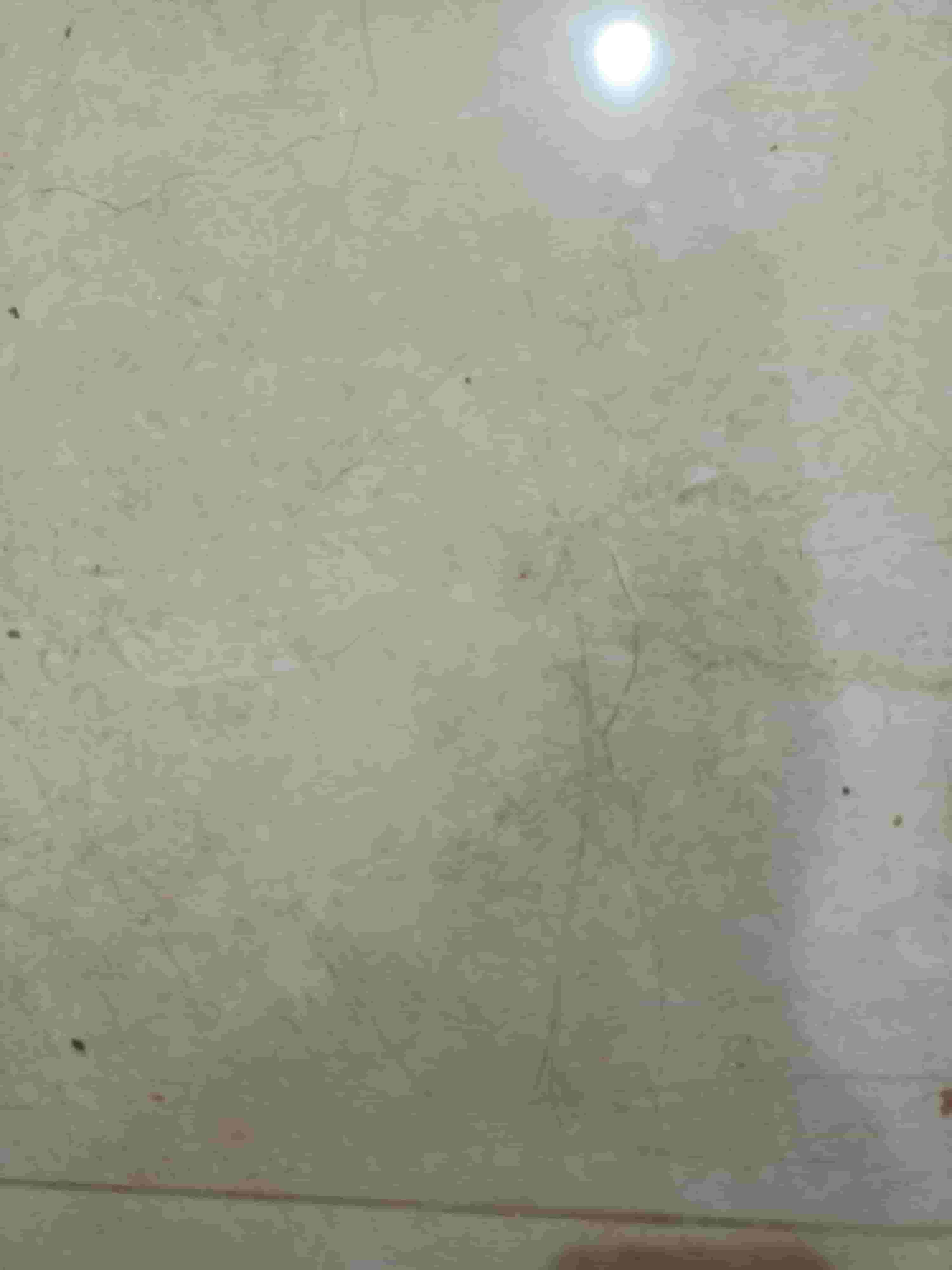 Sharing accommodation with a person Sharing accommodation with a person