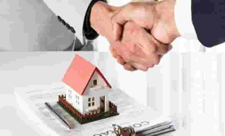 Pleading before the courts and all legal services Pleading before the courts and all legal services