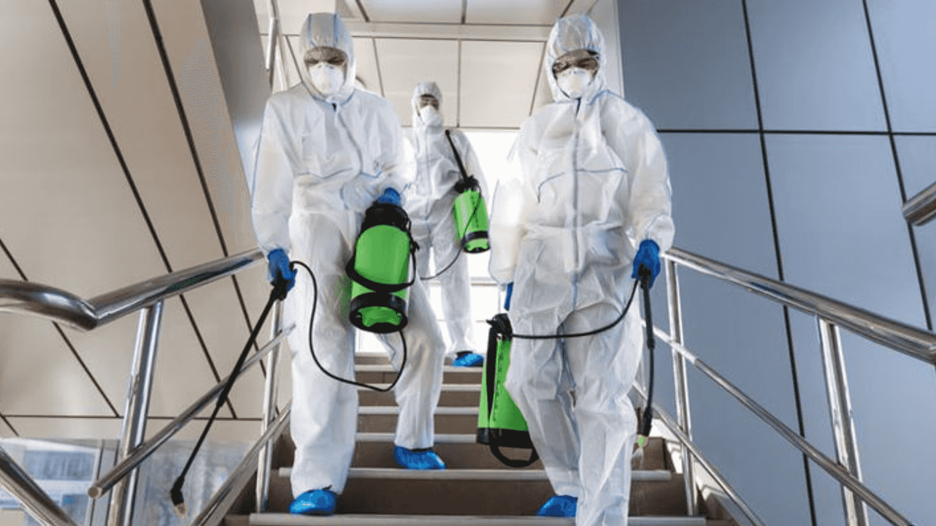 Al-Yaqout Pest Control Services Al-Yaqout Pest Control Services