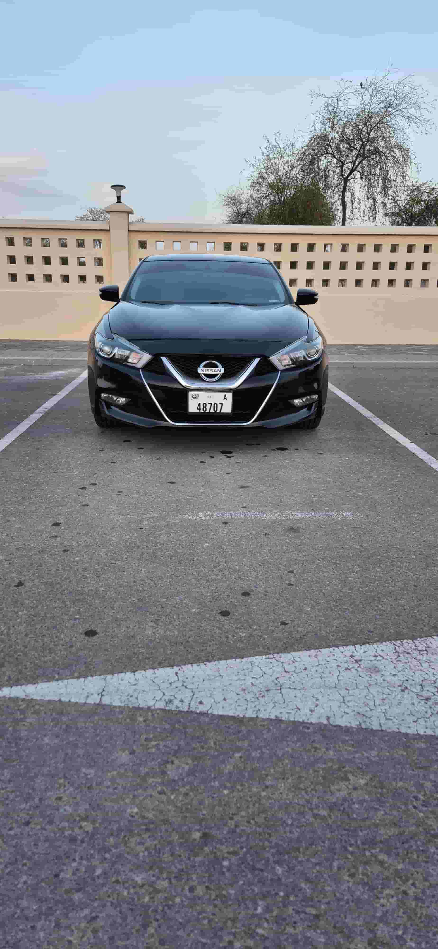2017 Maxima SV 2017 Maxima SV